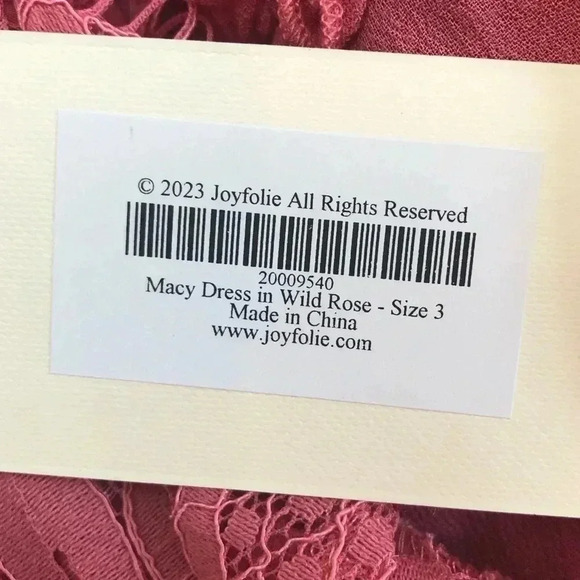 NWT JOYFOLIE Macy Dress Lace Crochet Bodice (3 Girls) Color Wild Rose - Picture 11 of 13